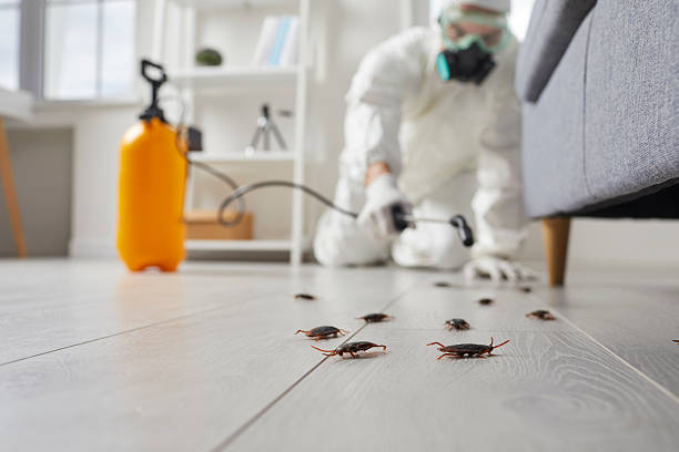 Affordable Cockroach Control solutions in Gibson, AR